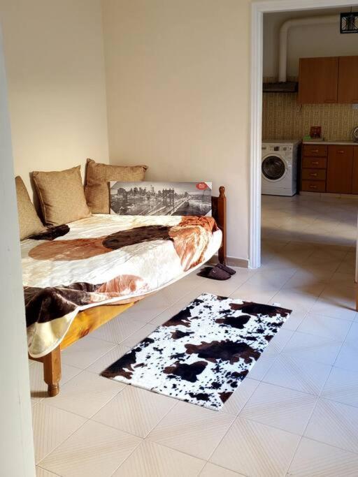 Home Away From Home_3Br At Maniatika_14Min Walk To The Port 比雷埃夫斯 外观 照片